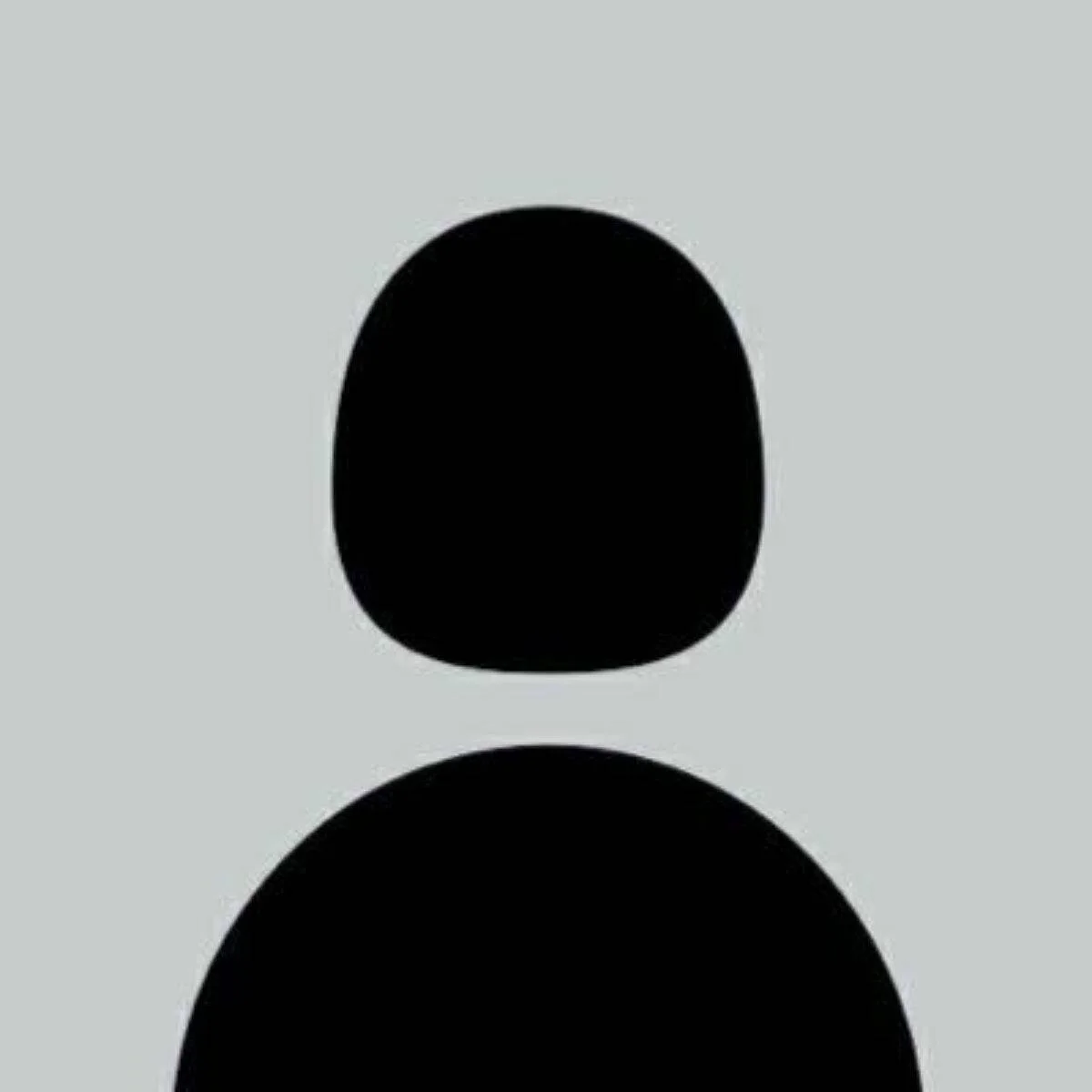 Example character folder containing char.json and organized art folders